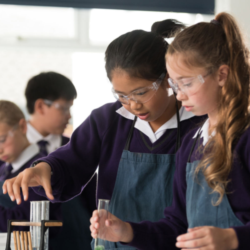 An update from Living Learning English Guardianship about the new school year